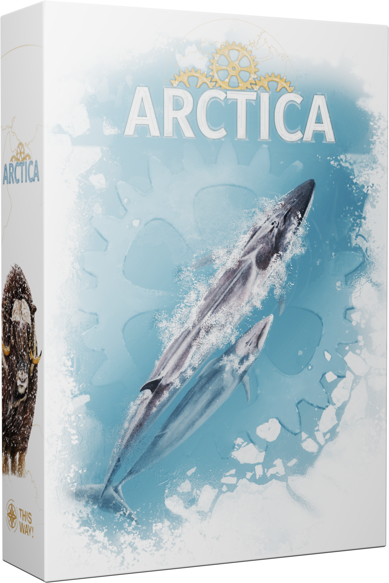 Arctica_Box_3D