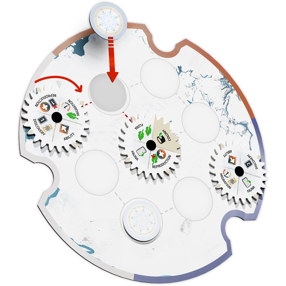 Arctica_Example Action