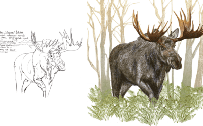 THE LONG JOURNEY OF ARCTICA’S ARTWORKS