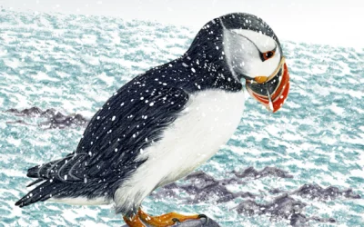 VERY EARLY DAYS OF THE GAME…ONCE UPON A TIME!