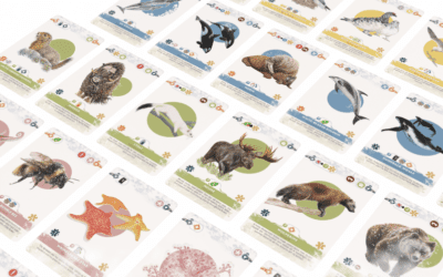 A DEEP DIVE INTO GRAPHIC DESIGN